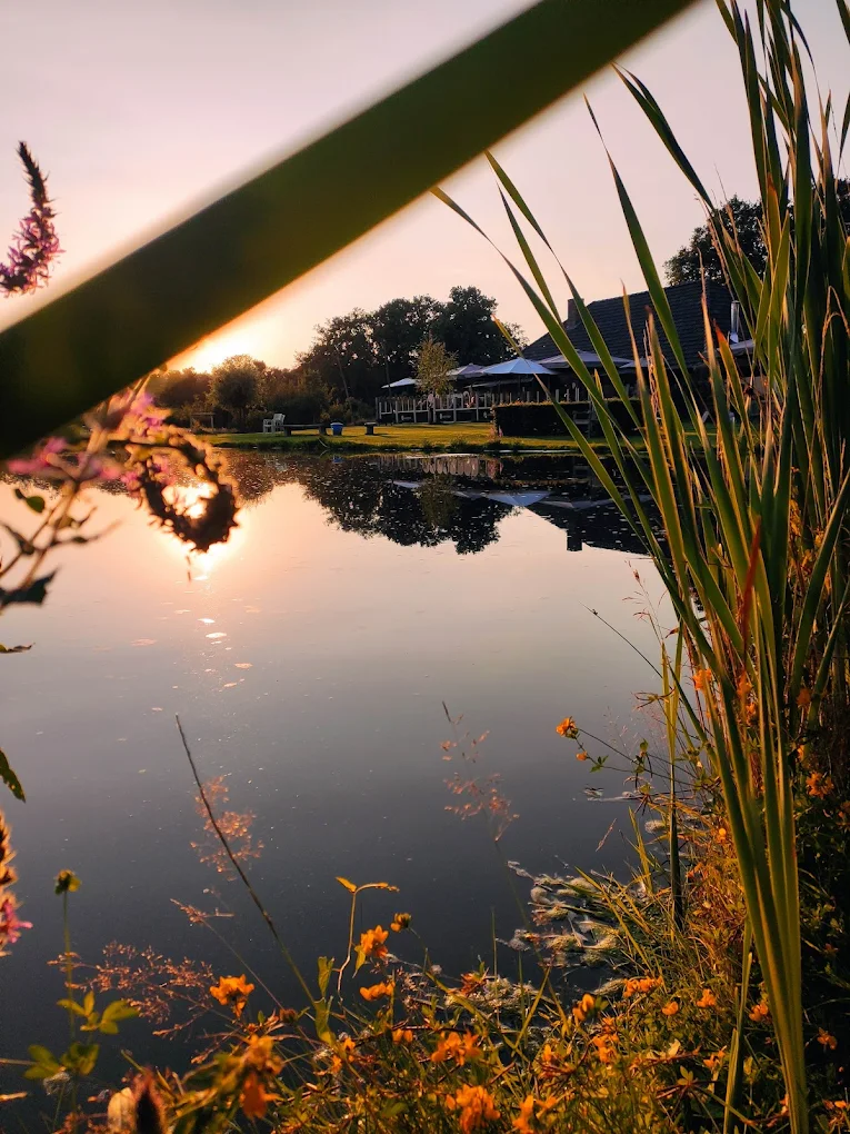 Peelpaviljoen De Stek – terras midden in de Peel